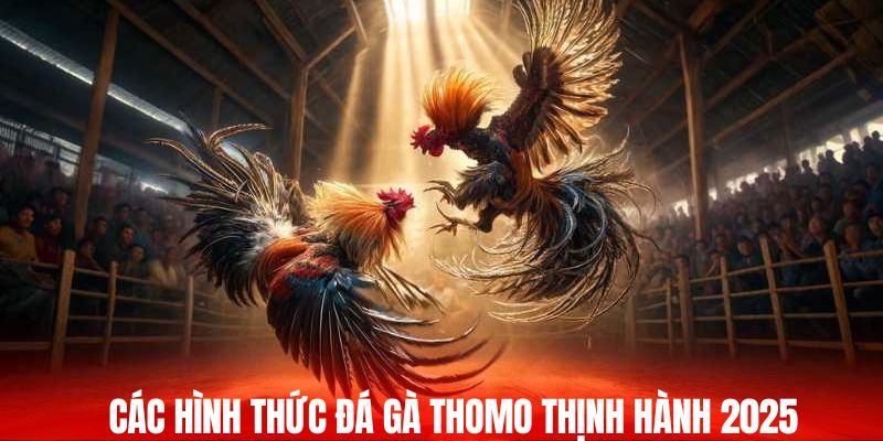 Các hình thức đá gà Thomo thịnh hành nhất 2025