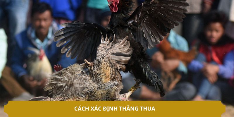 Cách xác định thắng thua